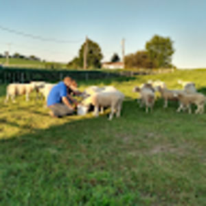 Meet your Posher, Olivia